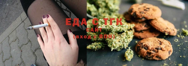 СК Медногорск