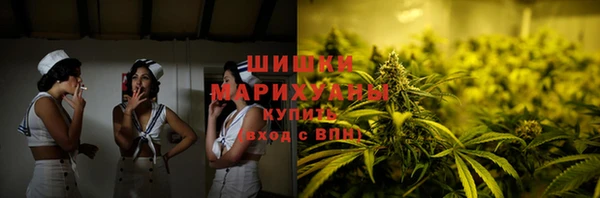 СК Медногорск