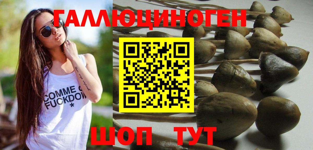 Псилоцибиновые грибы мицелий  Псилоцибиновые грибы мухоморы  закладка  Смоленск  Вход с VPN 